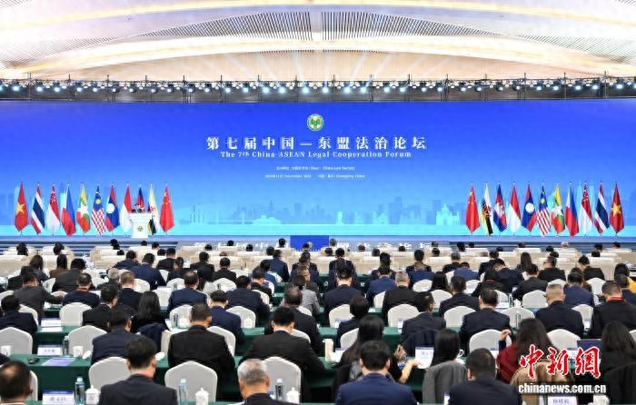 携手应对跨境犯罪 中外专家建言打出“组合拳”