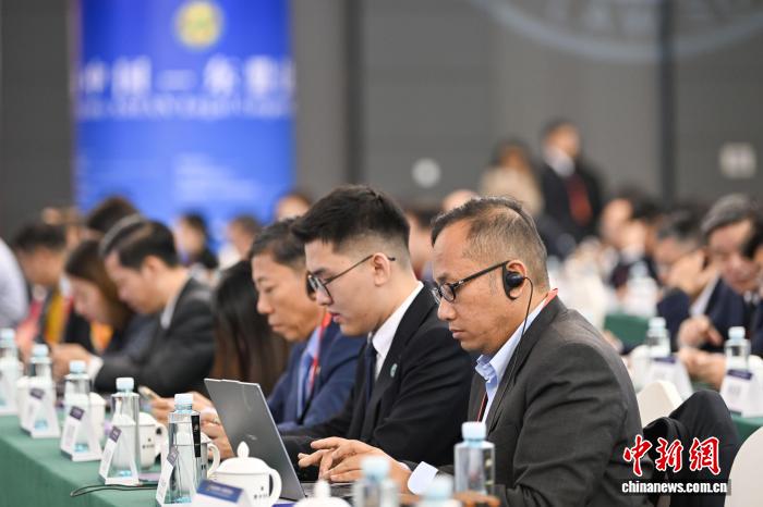 中国东盟跨境犯罪治理_跨境_打击跨境犯罪合作机制