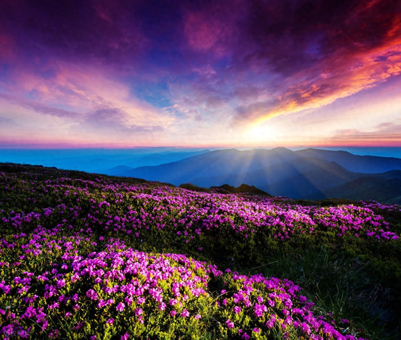 跨境电商新手指南：这些实操技巧让你少走半年弯路