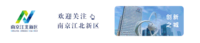 跨境电商数字服务！新区用创新业态助力“四新”