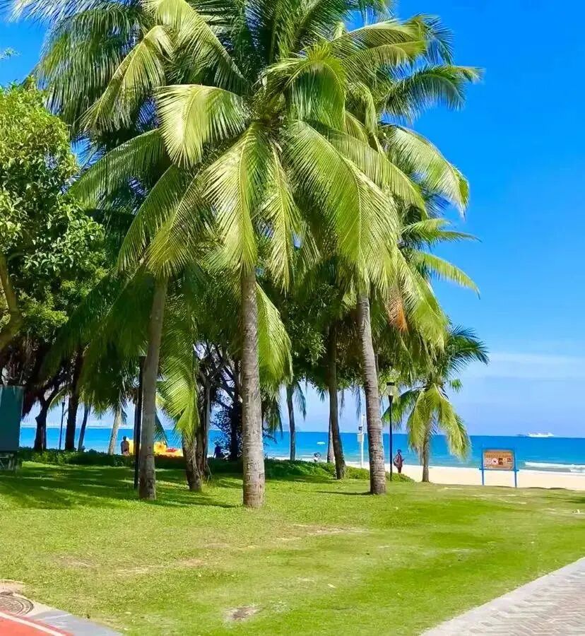 海南跨境电商购物指南_跨境电商_海南离岛免税政策调整 2025年